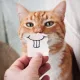 Ravensburger puzzel 3x49 stukjes 5+ Komische dierenportretten